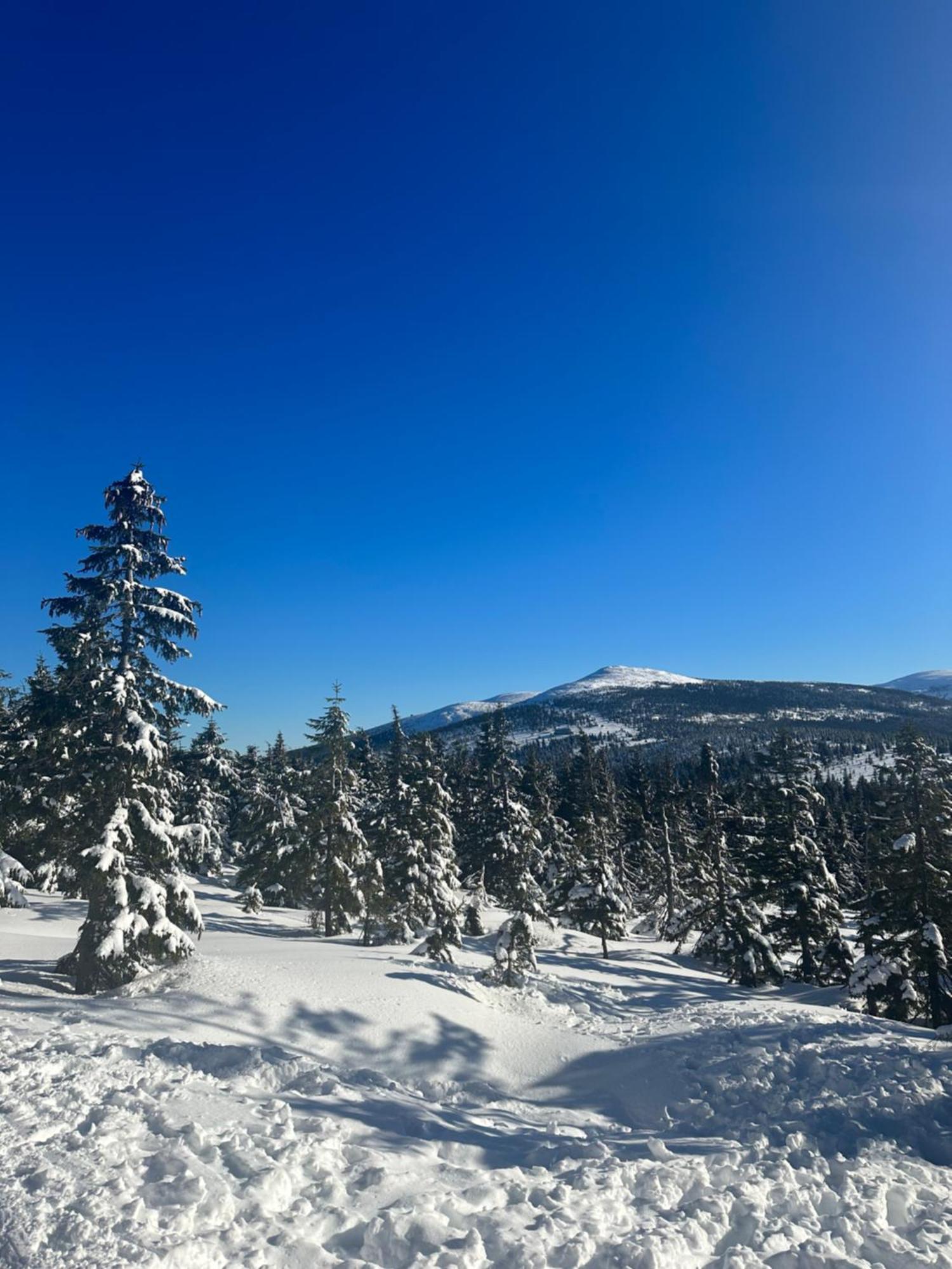 Chalupa Janovice Rudník Exteriör bild