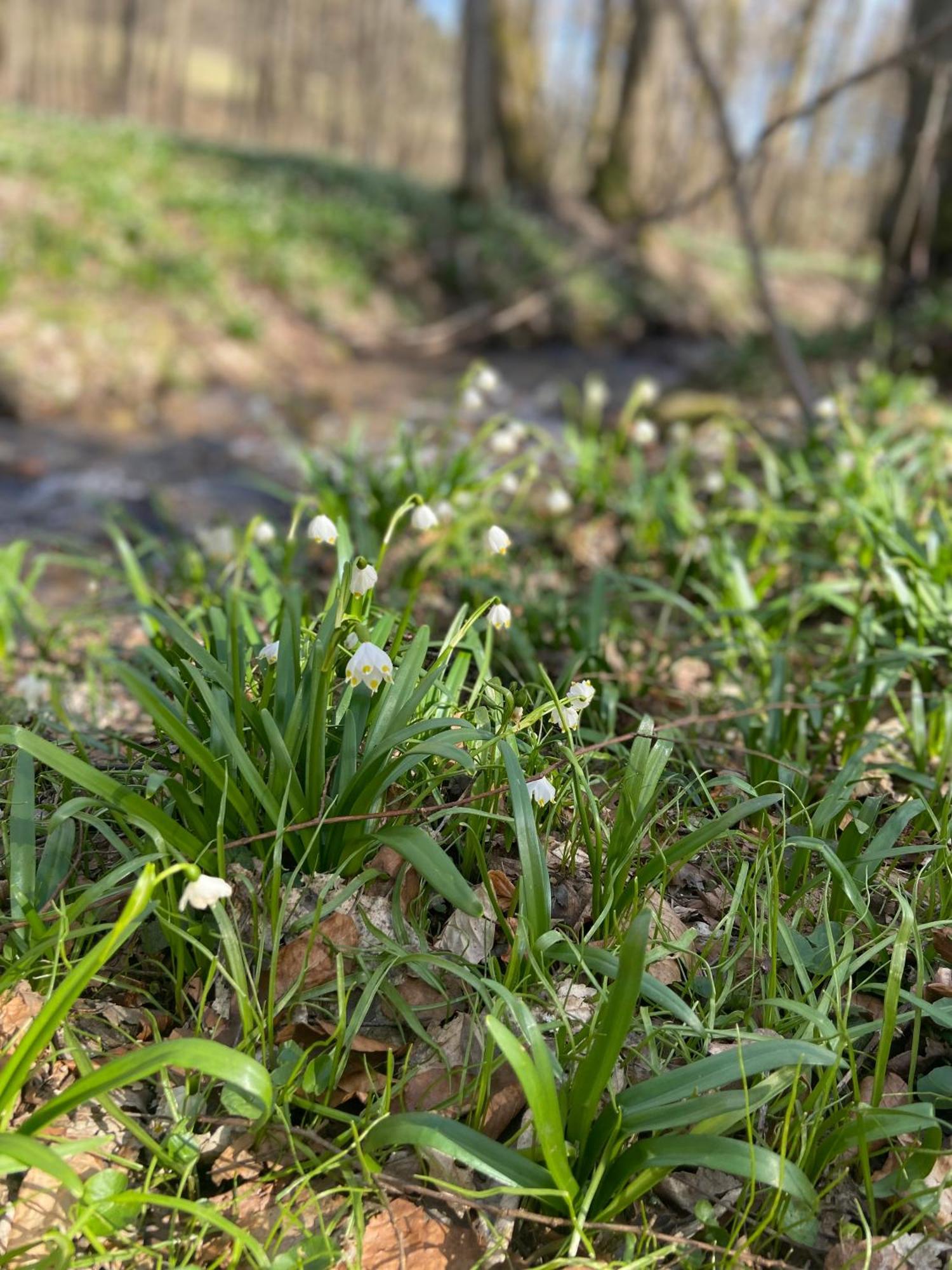 Chalupa Janovice Rudník Exteriör bild