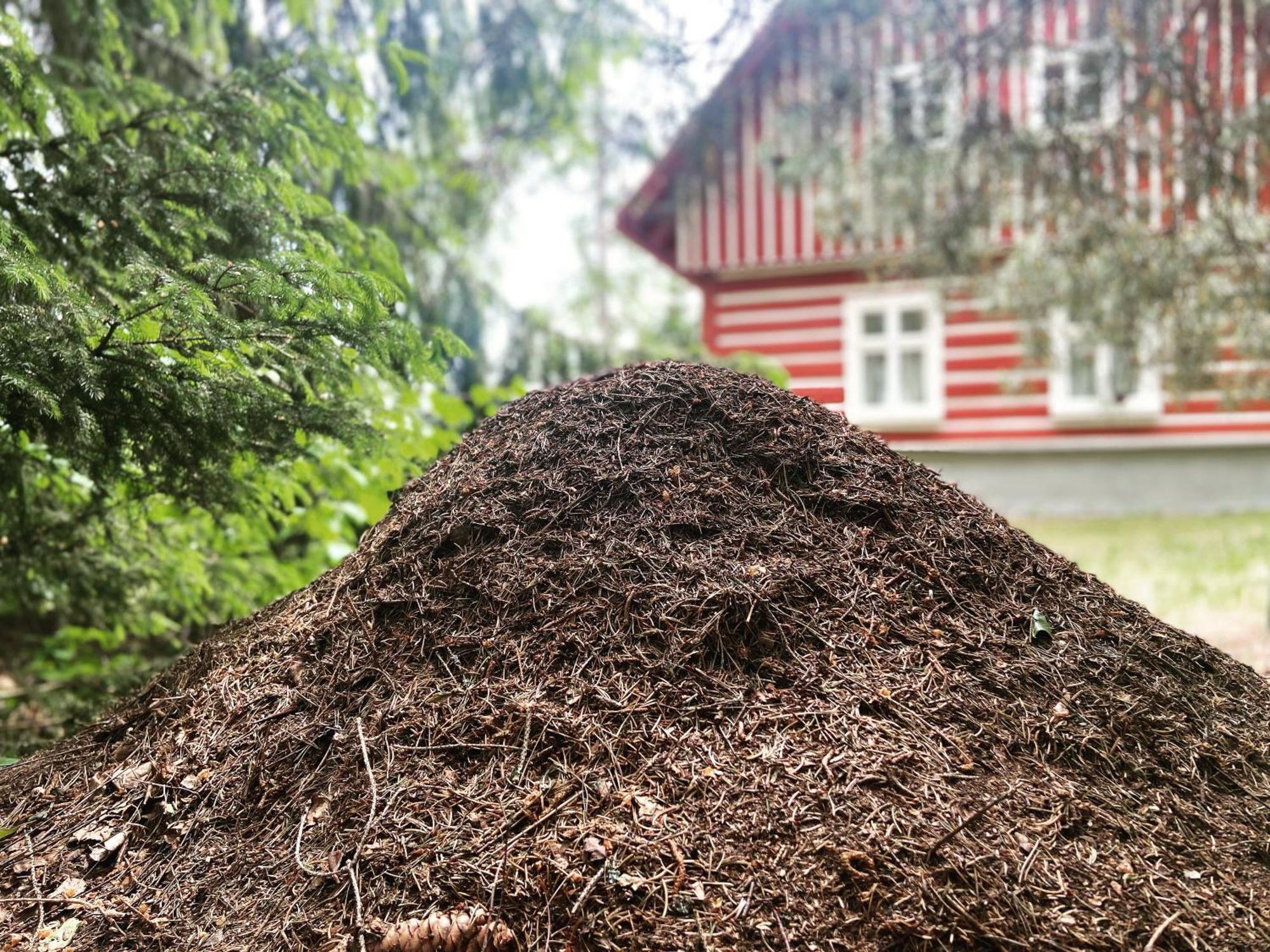 Chalupa Janovice Rudník Exteriör bild